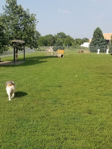 Dog Park