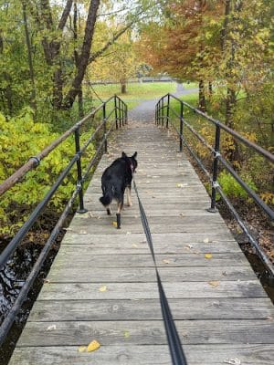 Kohler Park