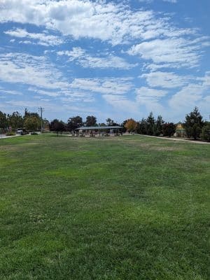 Dog Park