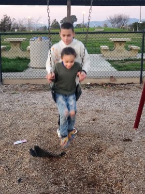 Dog Park