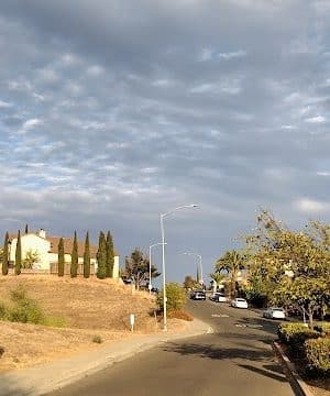Dog Park