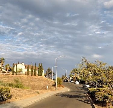Dog Park