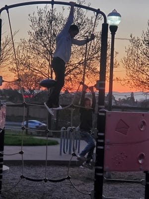 Dog Park