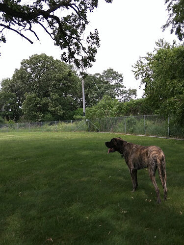 Ames Dog Park (Fee Required)