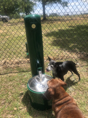 Andalusia Dog Park