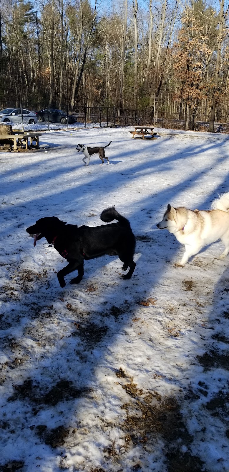 Andover Dog Park - Andover, MA