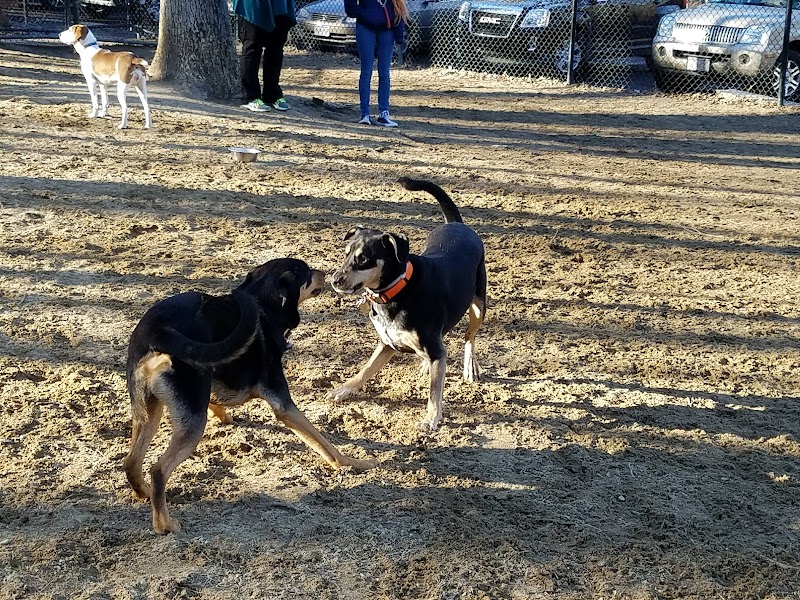 Andover Dog Park - Andover, MA
