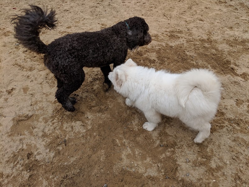 Andover Dog Park - Andover, MA