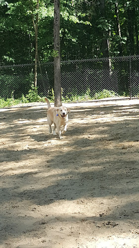 Andover Dog Park - Andover, MA