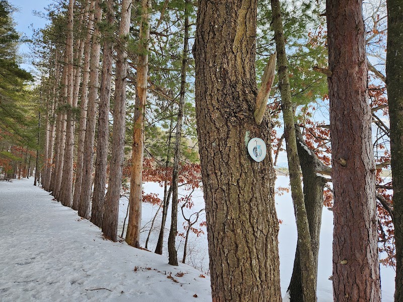 Haggetts Pond Trail - Andover, MA
