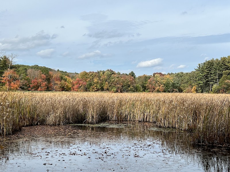 Haggetts Pond Trail - Andover, MA
