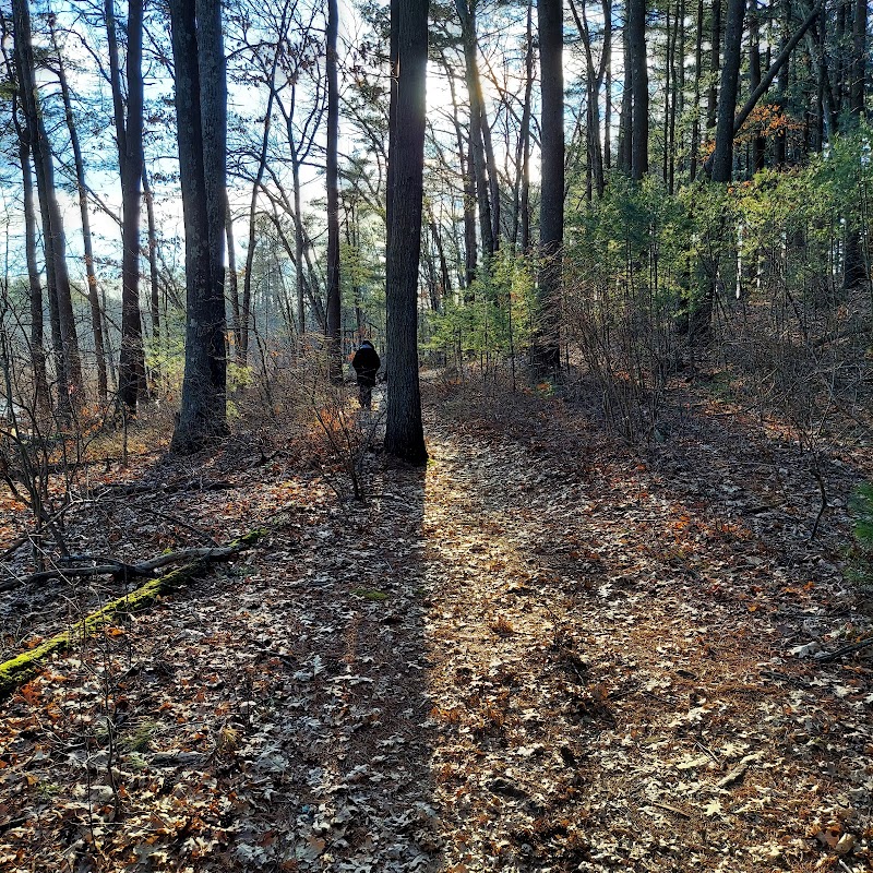 Haggetts Pond Trail - Andover, MA