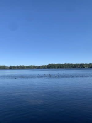 Haggetts Pond Trail - Andover, MA