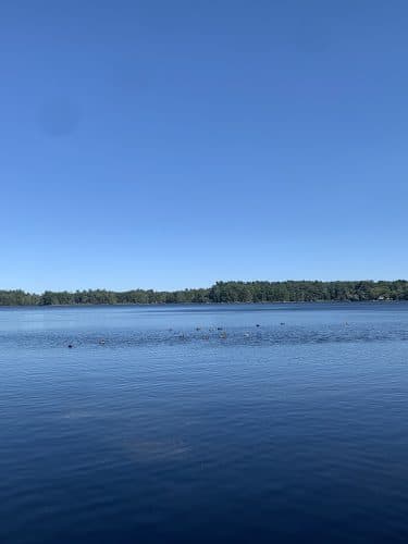 Haggetts Pond Trail - Andover, MA