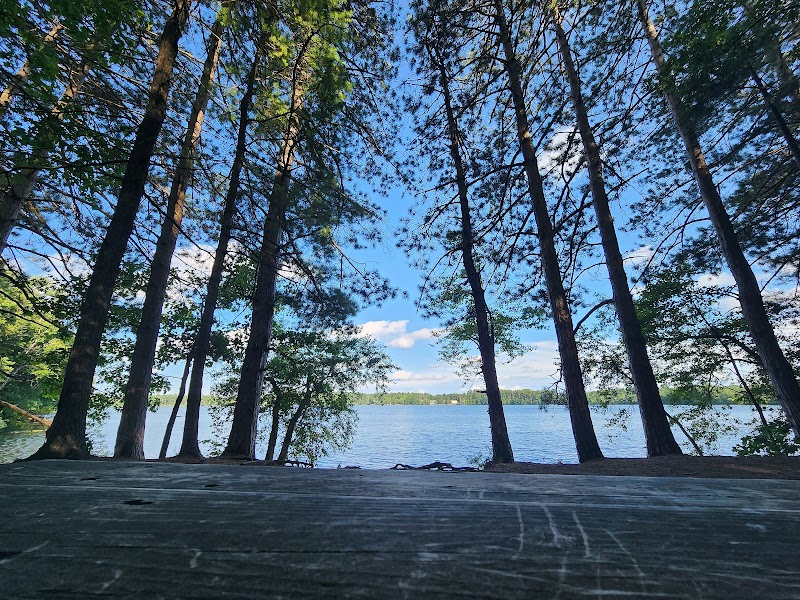 Haggetts Pond Trail - Andover, MA