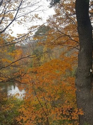 Haggetts Pond Trail - Andover, MA