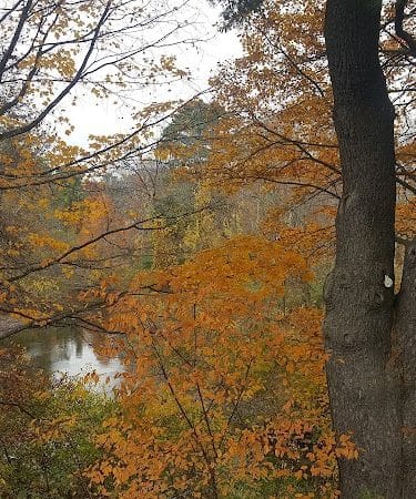 Haggetts Pond Trail - Andover, MA
