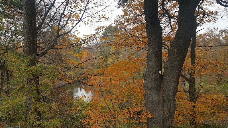 Haggetts Pond Trail - Andover, MA