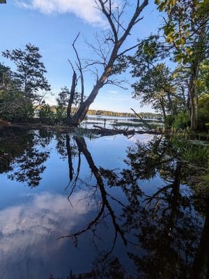 Haggetts Pond Trail - Andover, MA