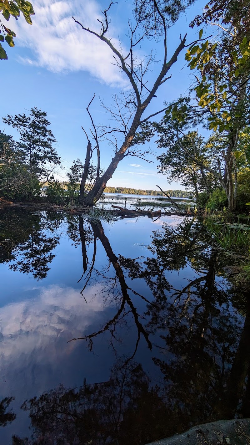 Haggetts Pond Trail - Andover, MA