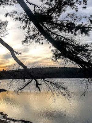 Haggetts Pond Trail - Andover, MA