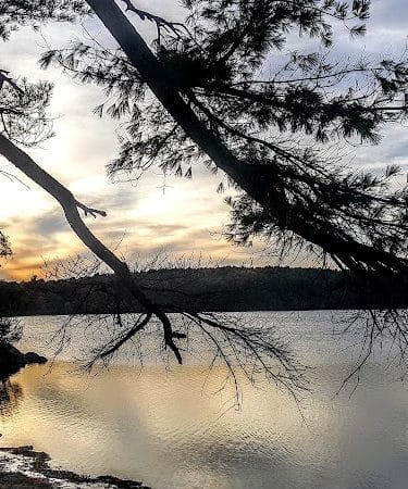 Haggetts Pond Trail - Andover, MA