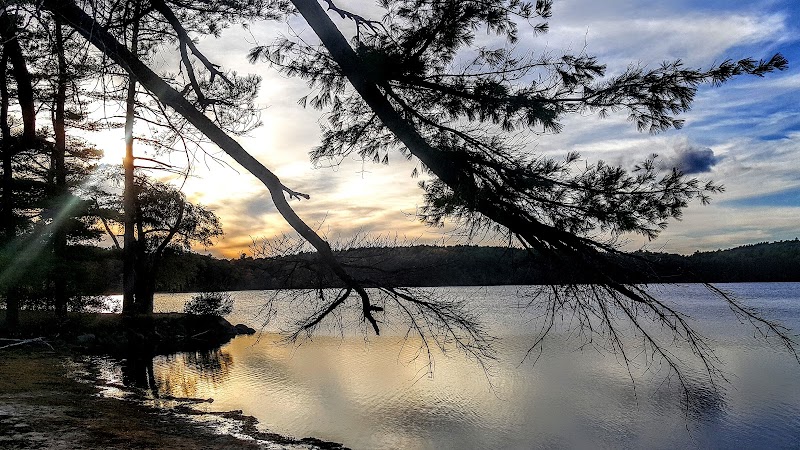Haggetts Pond Trail - Andover, MA