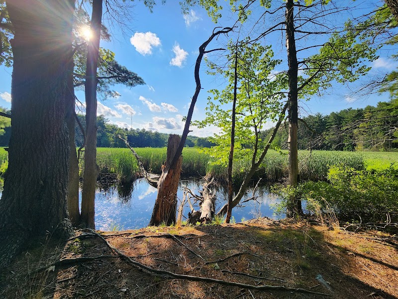 Haggetts Pond Trail - Andover, MA