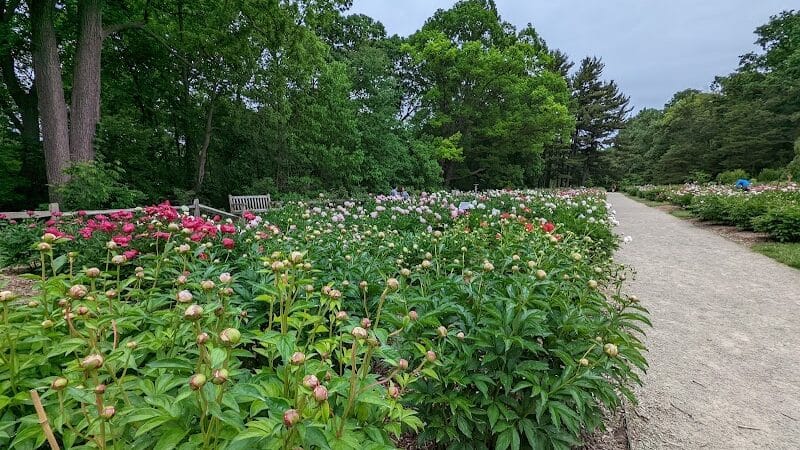 Arboretum Nature Area - Ann Arbor,