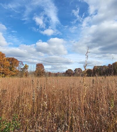 Arboretum Nature Area - Ann Arbor,