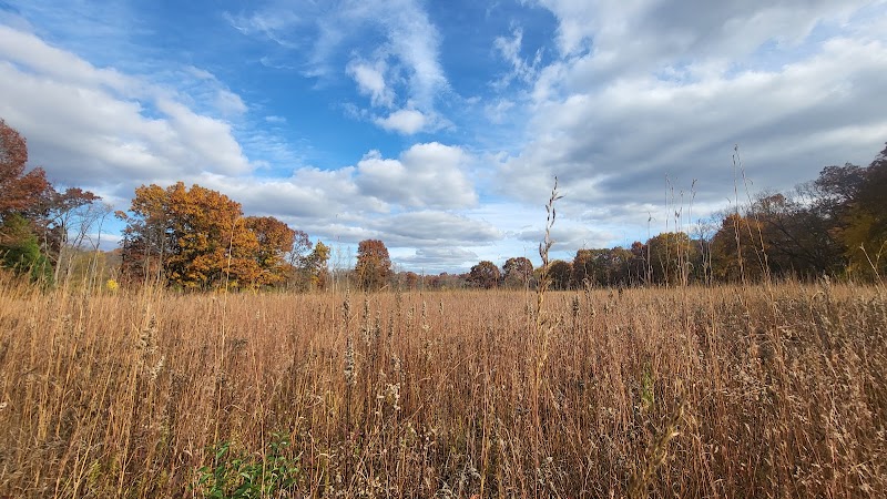 Arboretum Nature Area - Ann Arbor,