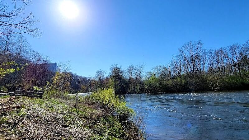 Arboretum Nature Area - Ann Arbor,