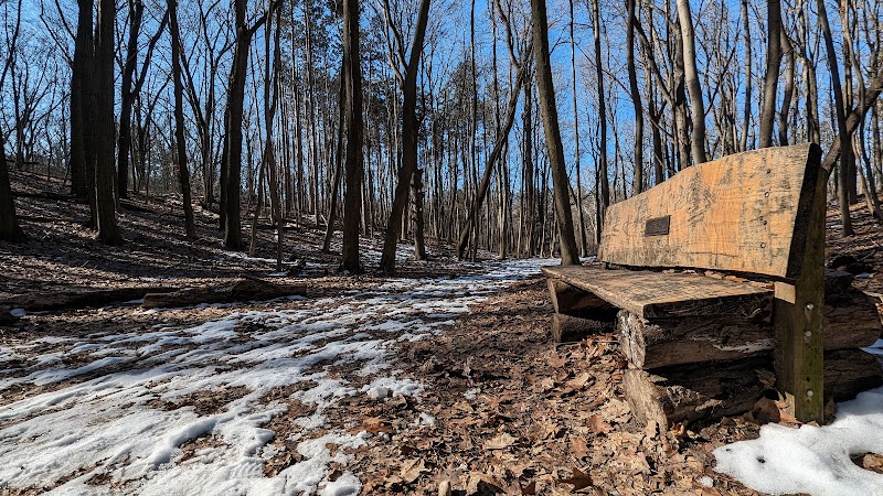 Bird Hills Nature Area - Ann Arbor,