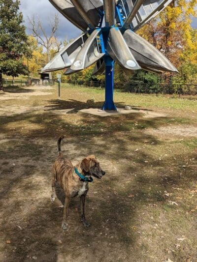 Broadway Park - Ann Arbor,