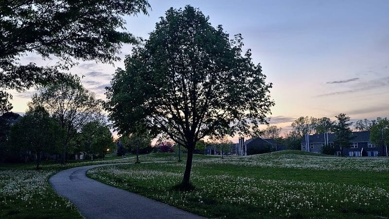 Cranbrook Park - Ann Arbor,