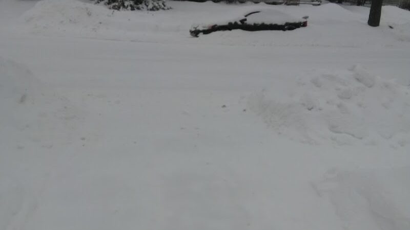 Creal Park - Ann Arbor,