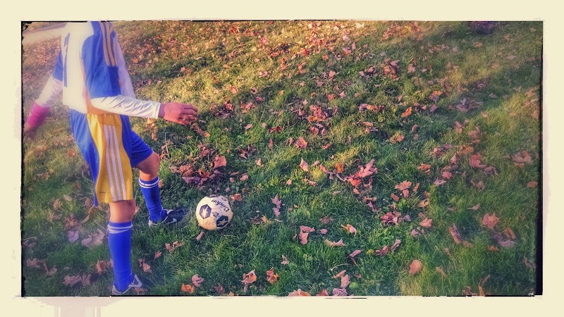 Creal Park - Ann Arbor,