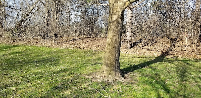 Greenbrier Park - Ann Arbor,
