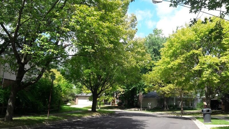 Greenbrier Park - Ann Arbor,