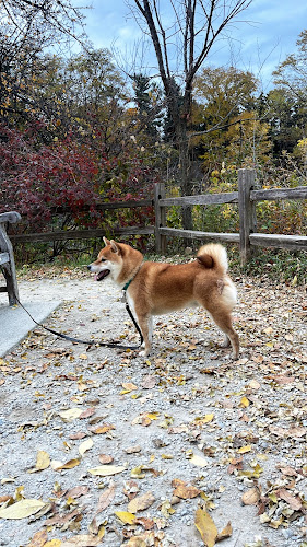 Arboretum Nature Area