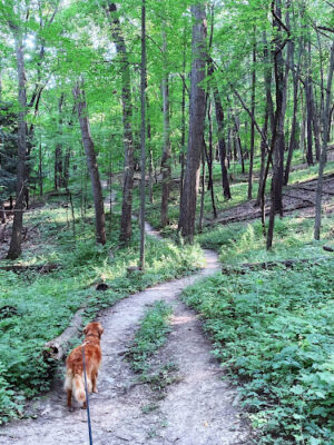 Bird Hills Nature Area