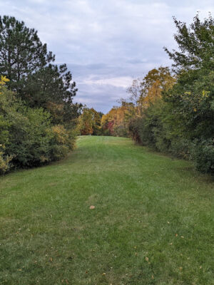 Eisenhower Park