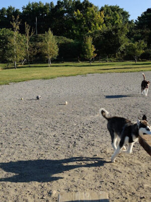 Olson Dog Park
