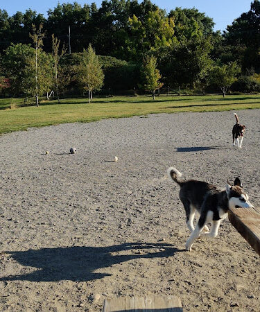Olson Dog Park
