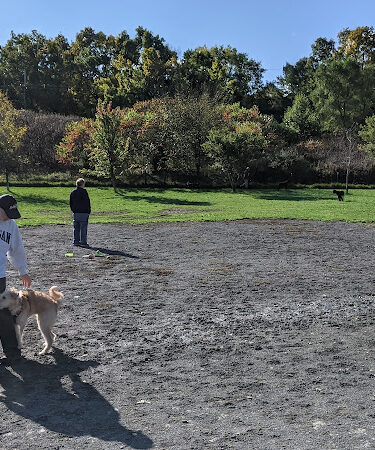 Olson Park