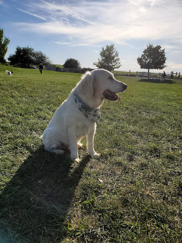Swift Run Dog Park