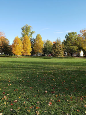 Wellington Park