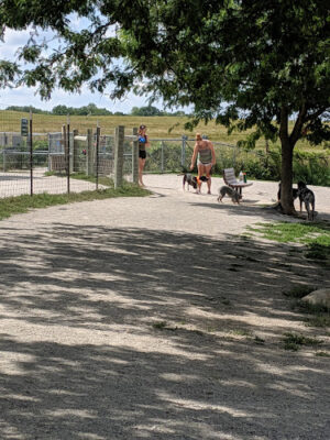 Swift Run Dog Park