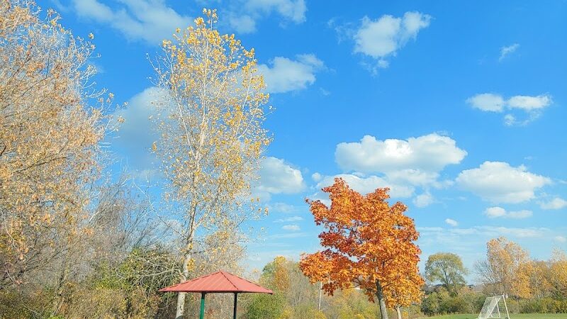 Olson Dog Park - Ann Arbor,