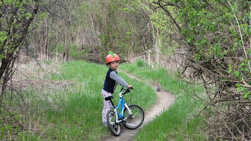 Olson Park - Ann Arbor,